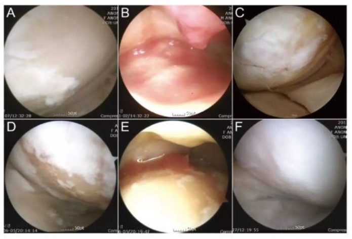 1686623541.png image.png