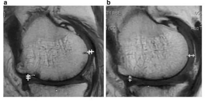 1686623547.png image.png